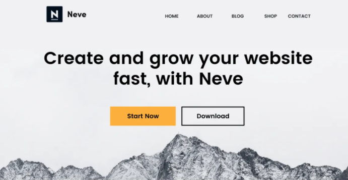 Neve wordpress theme