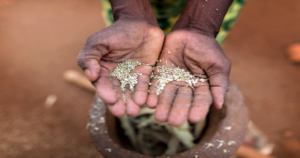 How Technology and Innovation can Fight Global Hunger?